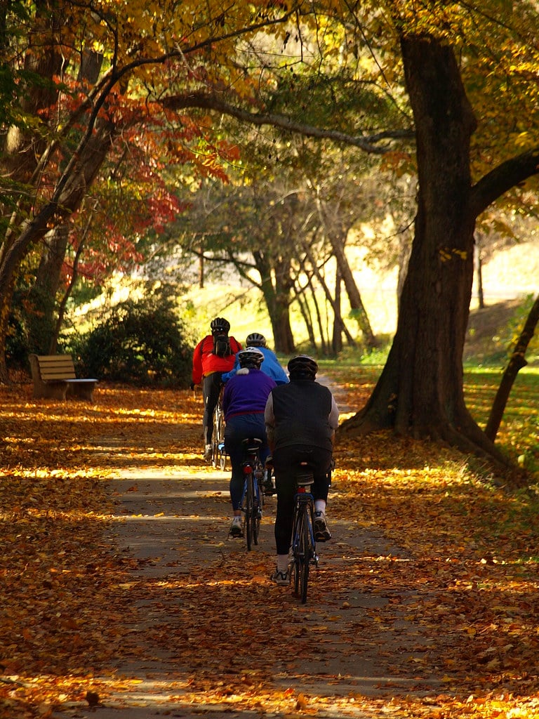 greenville bike path